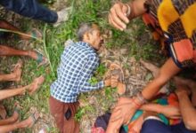 Photo of SITAPUR : सीतापुर में आदमखोर बाघ का कहर जारी: एक हफ्ते में दूसरी जान ली, ग्रामीणों में दहशत का माहौल, वन विभाग के दावे हवा हवाई