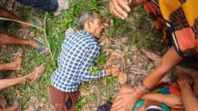 Photo of SITAPUR : सीतापुर में आदमखोर बाघ का कहर जारी: एक हफ्ते में दूसरी जान ली, ग्रामीणों में दहशत का माहौल, वन विभाग के दावे हवा हवाई