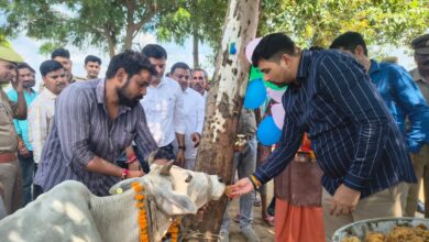 Photo of SITAPUR : डीएम ने गौशाला का किया निरीक्षण, गौवंशो को खिलाया गुड़ व केला…