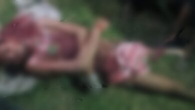 Photo of SITAPUR MAHOLI NEWS : खेत में घास लेने गए युवा किसान को जंगली जानवर ने बनाया शिकार, इलाके में फैली दहशत